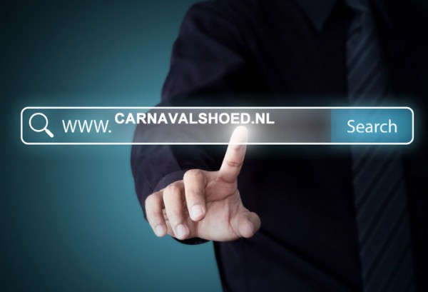 Domein te koop carnavalshoed.nl